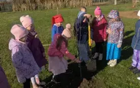 Galeria aktualności Wzbogacamy przyrodę Podkarpacia - Sadzenie roślin miododajnych na terenie gminy Wiśniowa 1