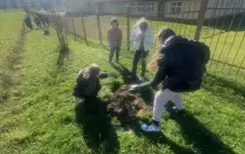 Galeria aktualności Wzbogacamy przyrodę Podkarpacia - Sadzenie roślin miododajnych na terenie gminy Wiśniowa 5