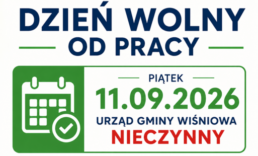 informacjaw formie graficznej