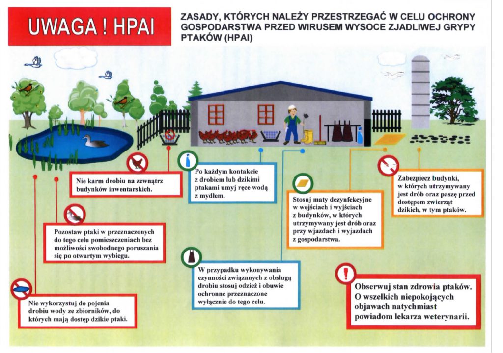 Grafika przedstawia zasady, których należy przestrzegać w celu ochrony gospodarstwa przed wirusem wysoce zjadliwej grypy ptaków (HPAI)